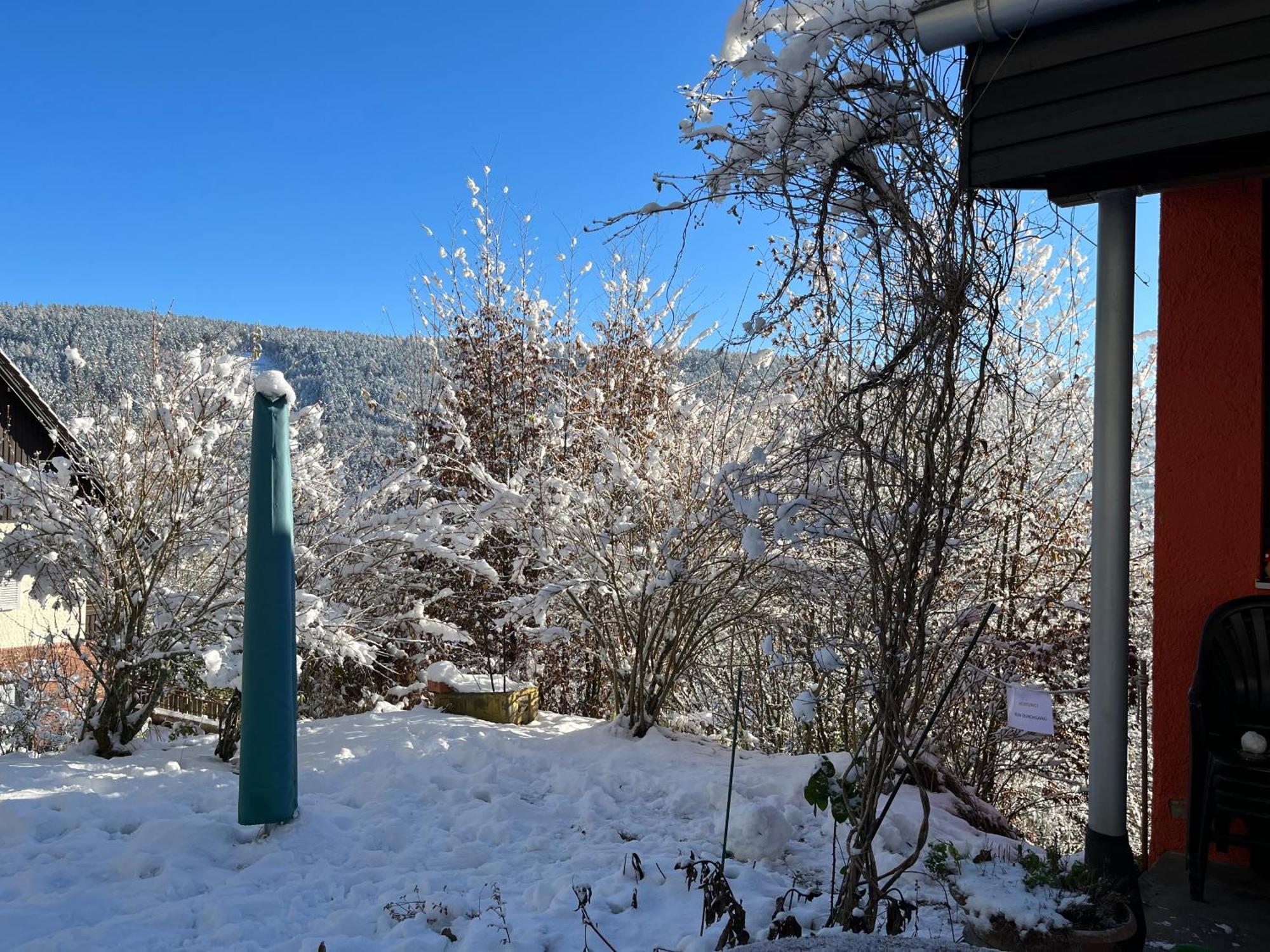 Apartament Waldhaus Max Bad Wildbad Zewnętrze zdjęcie